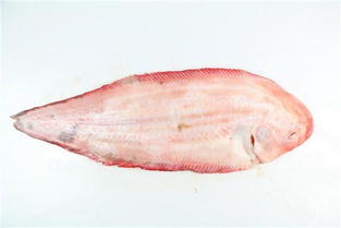 龙利鱼是世界上最脏的鱼(舌头鱼是龙利鱼吗)