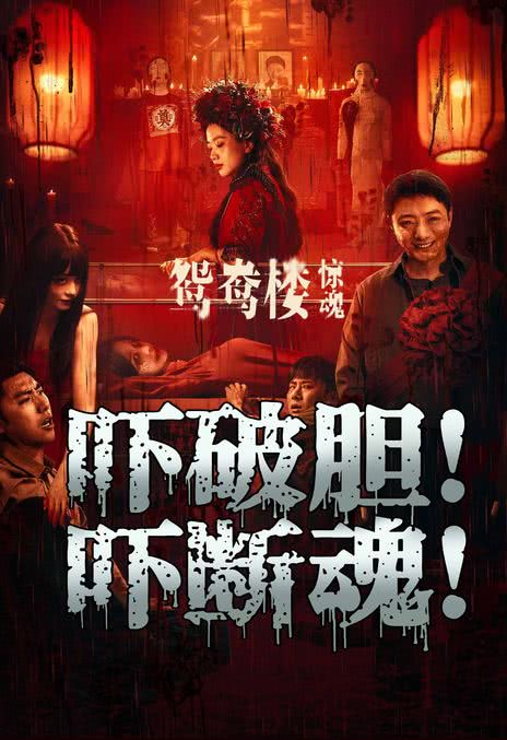 《鸳鸯楼·惊魂》电影网盘下载.国语中字.(2024)